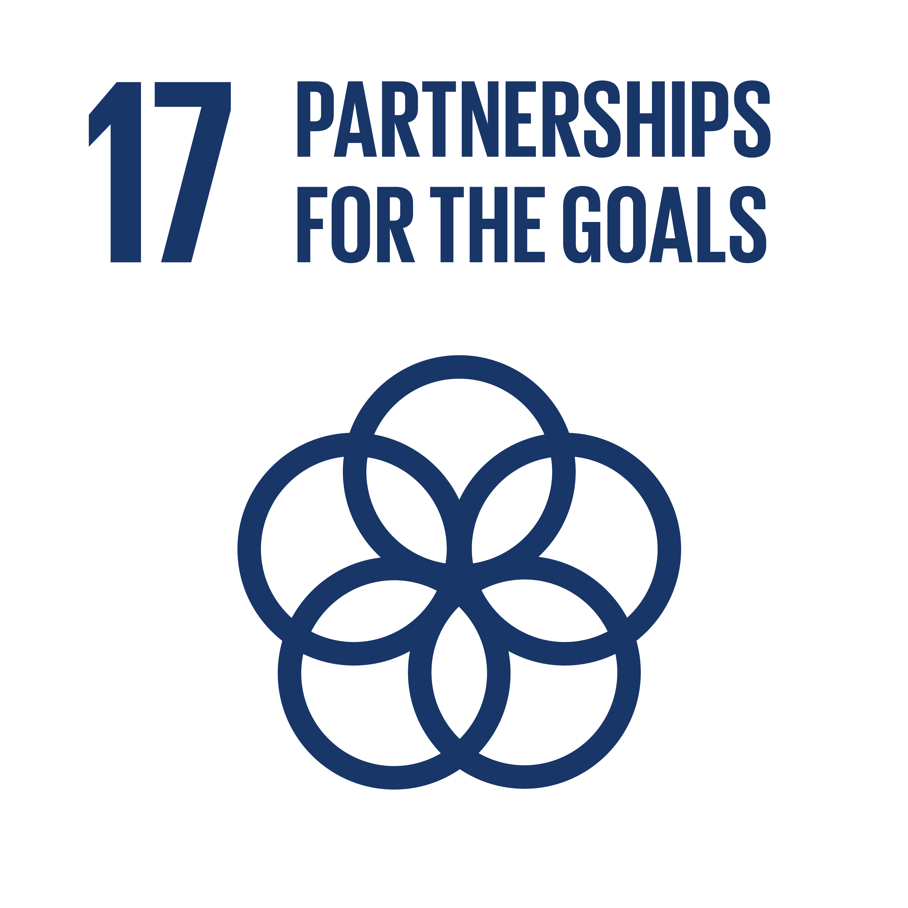 Strengthen the means of implementation and revitalize the Global Partnership for Sustainable Development